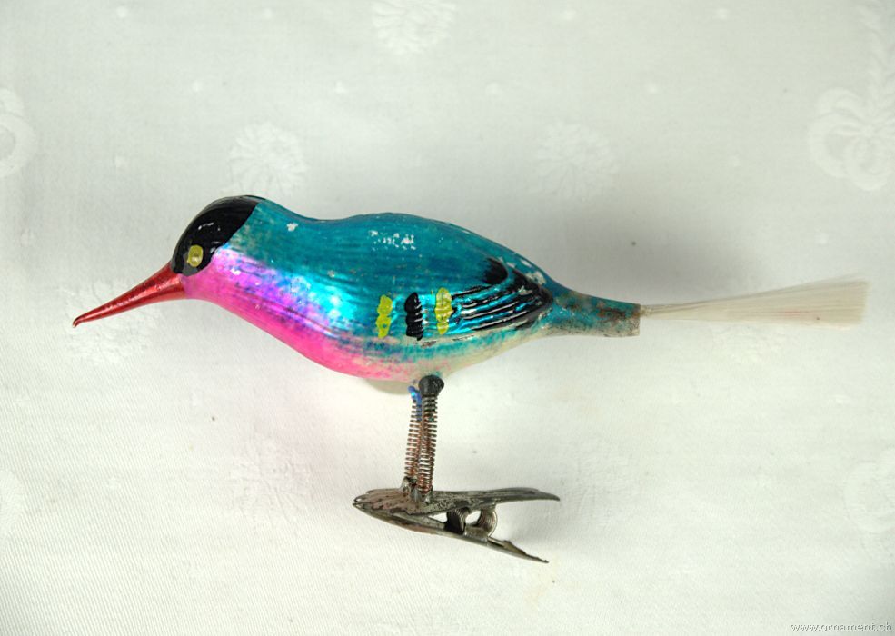 Colorful Bird with Long Beak